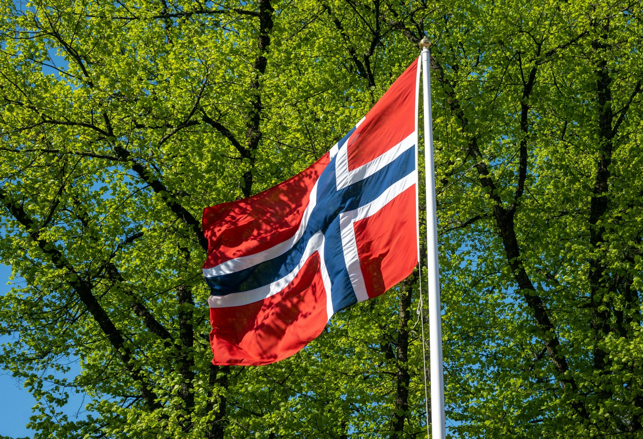Norway flag