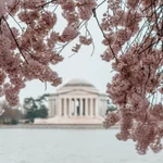 washington dc legal wagering