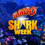 Slingo Shark Week from Gaming Realms