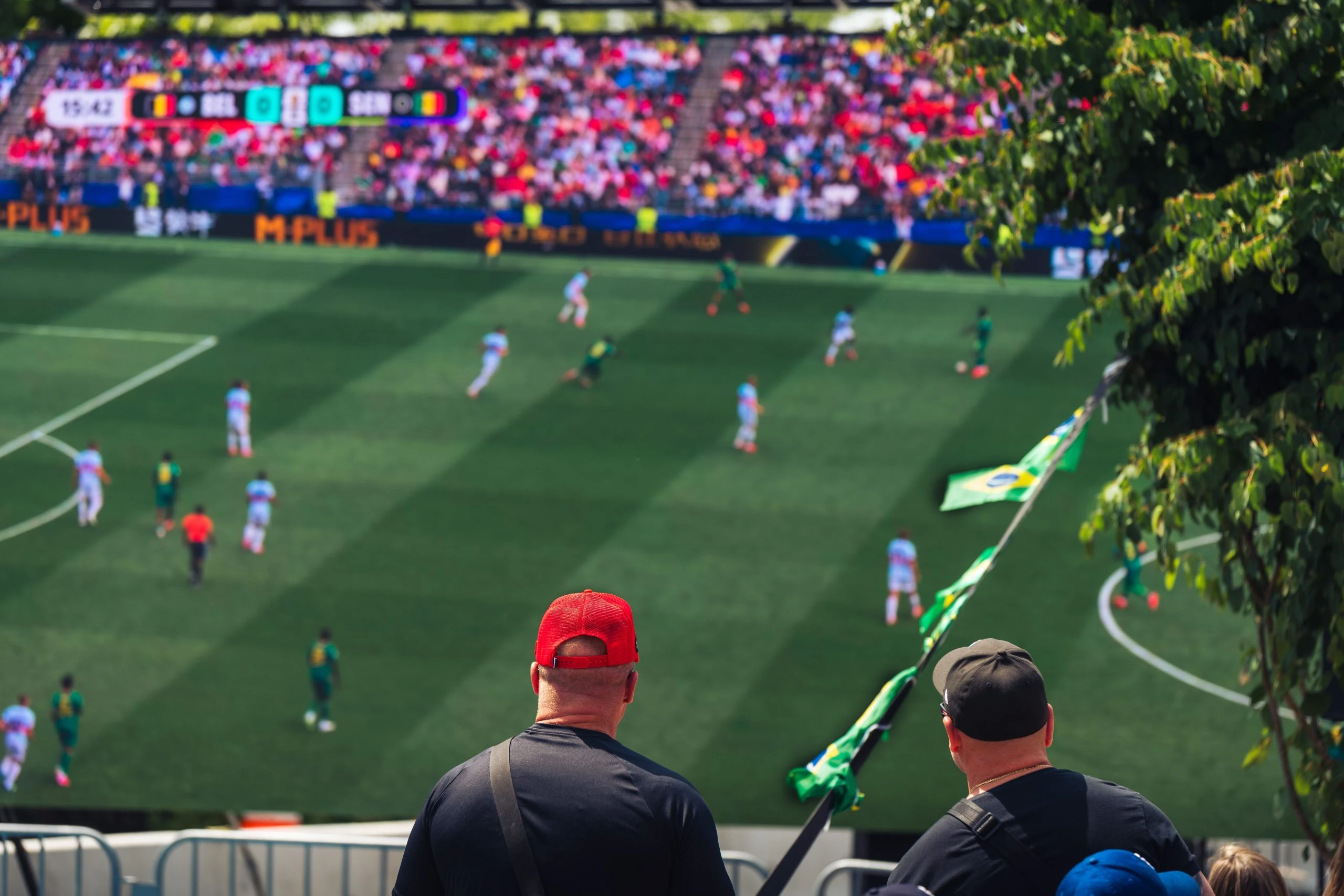world cup betting