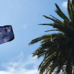 New Zealand gambling regulations