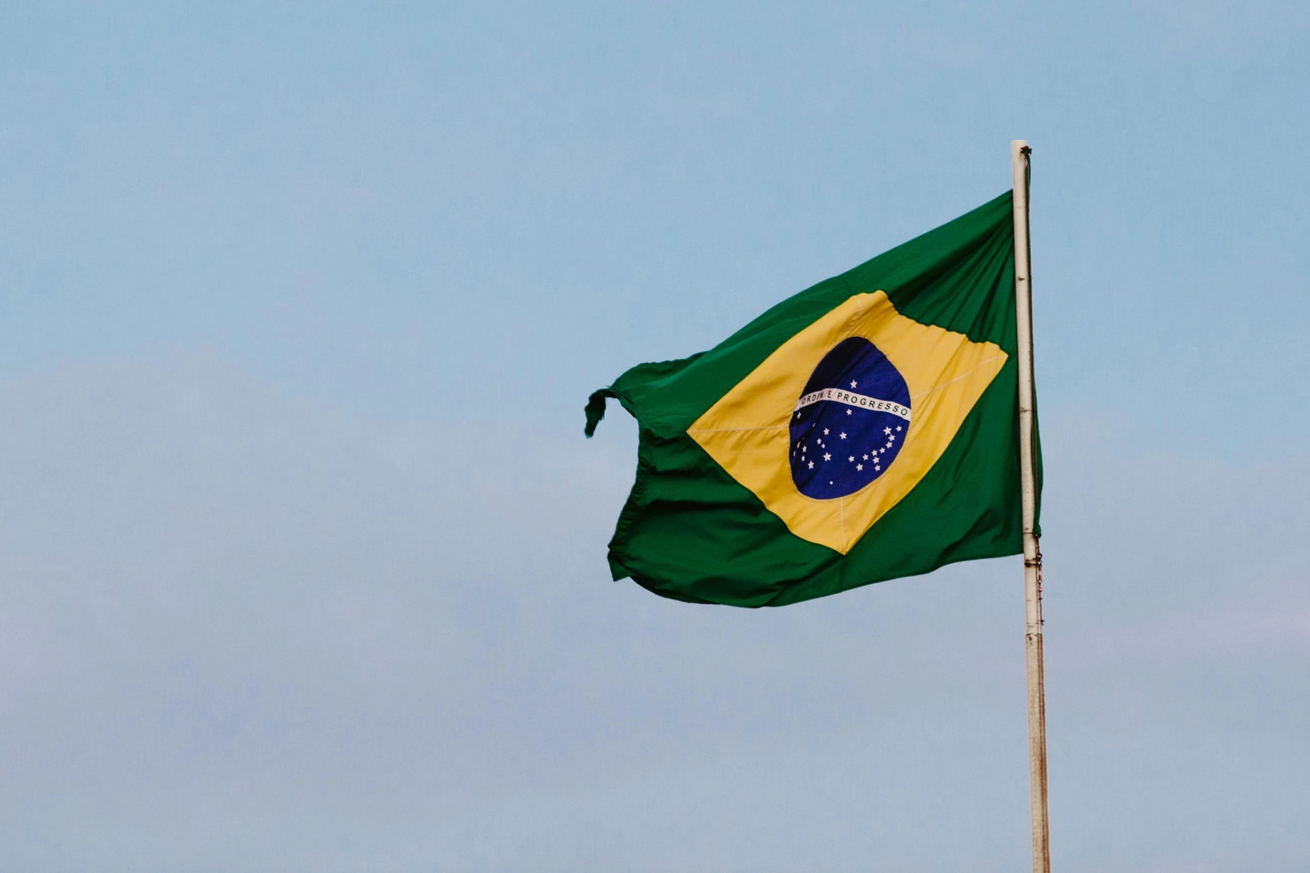 betmgm brazil