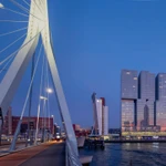 dutch illegal market
