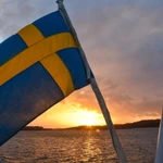 Sweden flag as new director general appointed