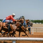 Horse racing as South carolina pushes through an on-site wager bill