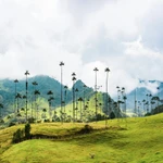 Coljuegos Colombia