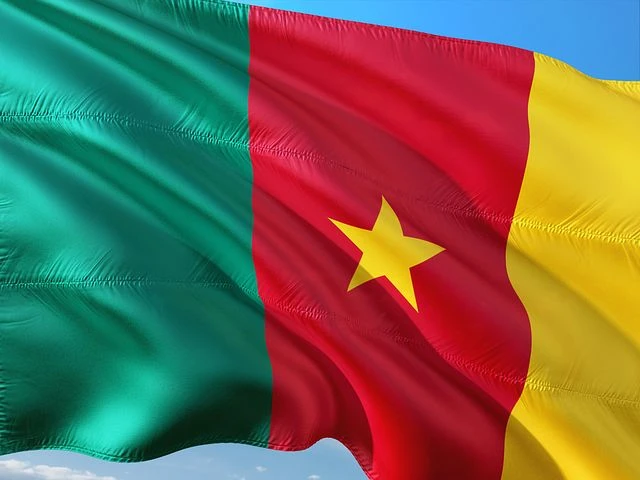 Winnerbet and Pronet Gaming partnership announced for Cameroon