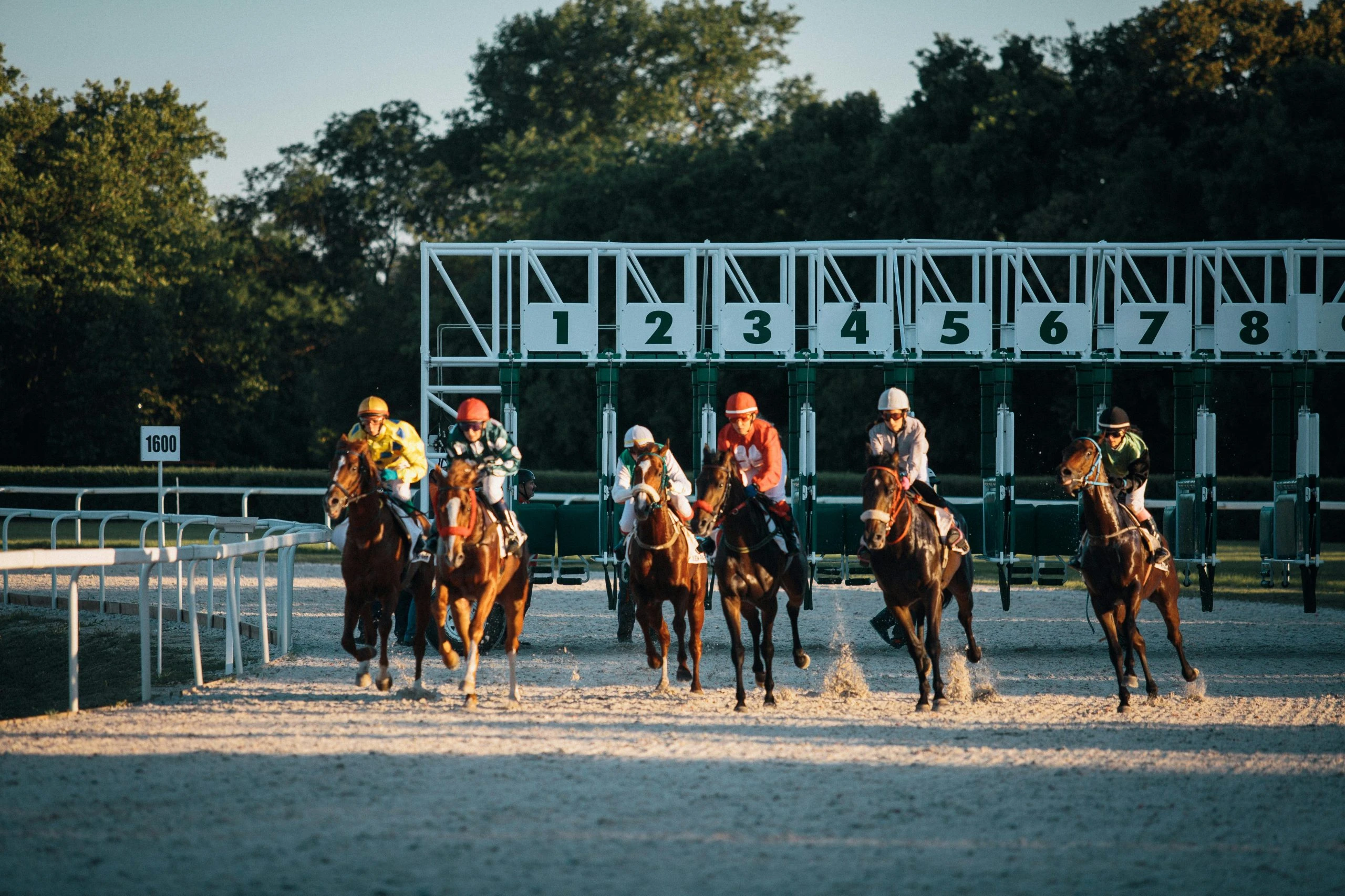 Mauritius racing