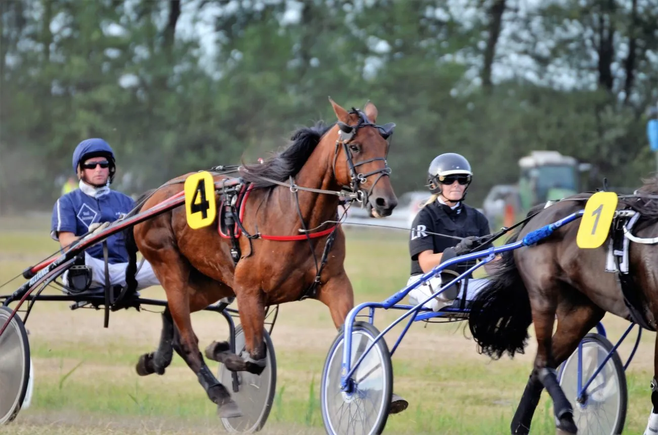 Trotting - horse racing