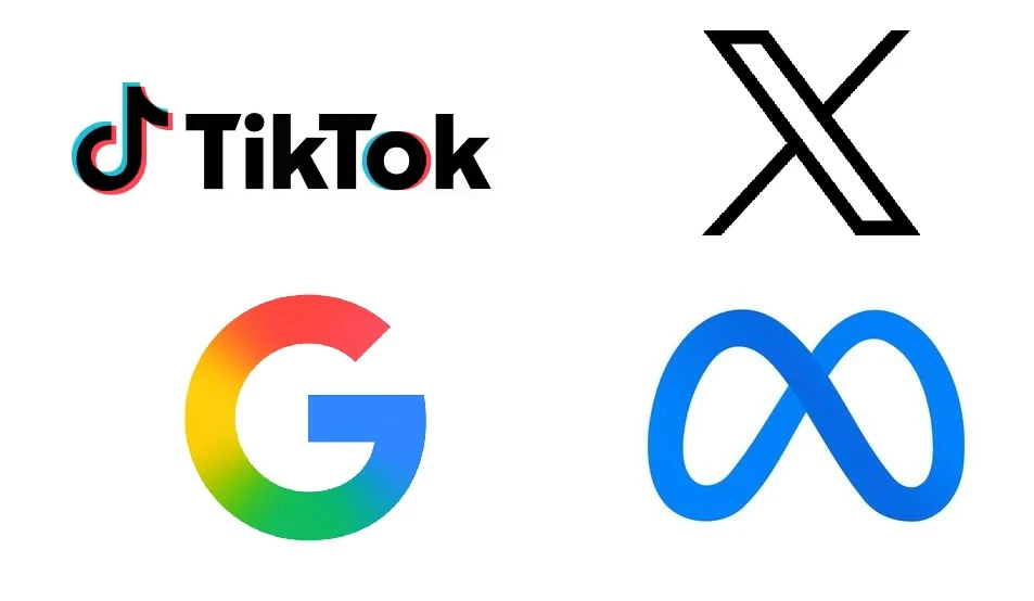 ANJL TikTok X Google Meta