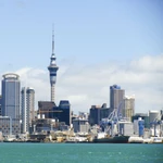 New Zealand gambling harm