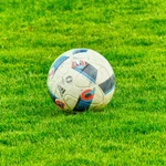 Henrique apostas Flamengo