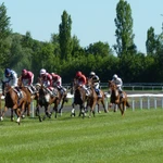 Horserace