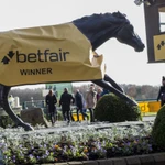 Betfair Flutter Hayward