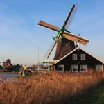 KSA Netherlands