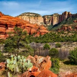 Arizona sports betting July