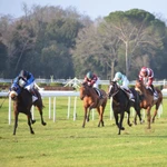 BetMakers Bet365 Colorado New Jersey