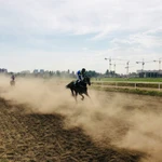 Horse as Kentucky sports betting hikes age