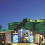 MGM earnings