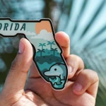 florida magnet with dolphin