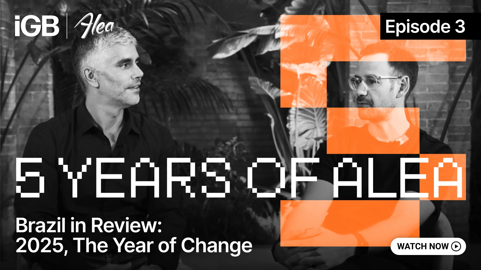 Five Years of Alea graphic for video about Brazil one year in