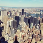 New York betting November
