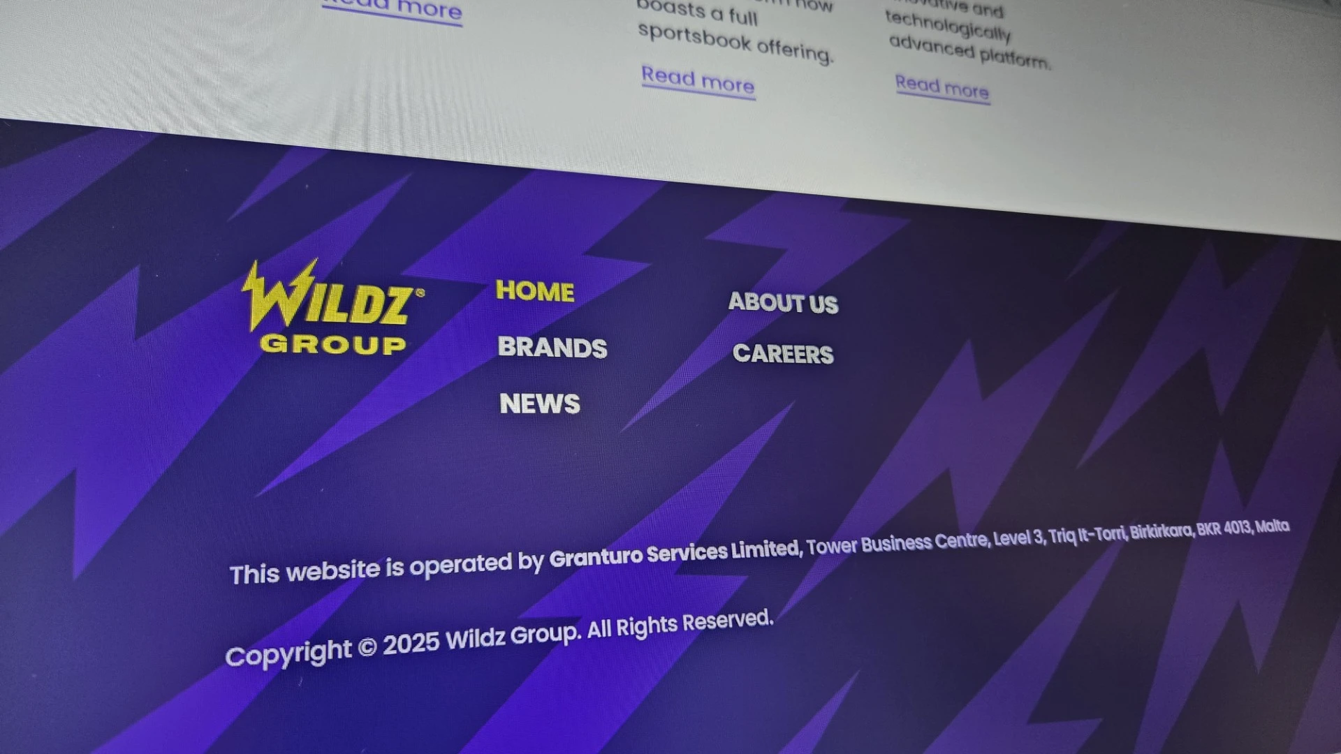 Photo of Wildz Group's corporate website