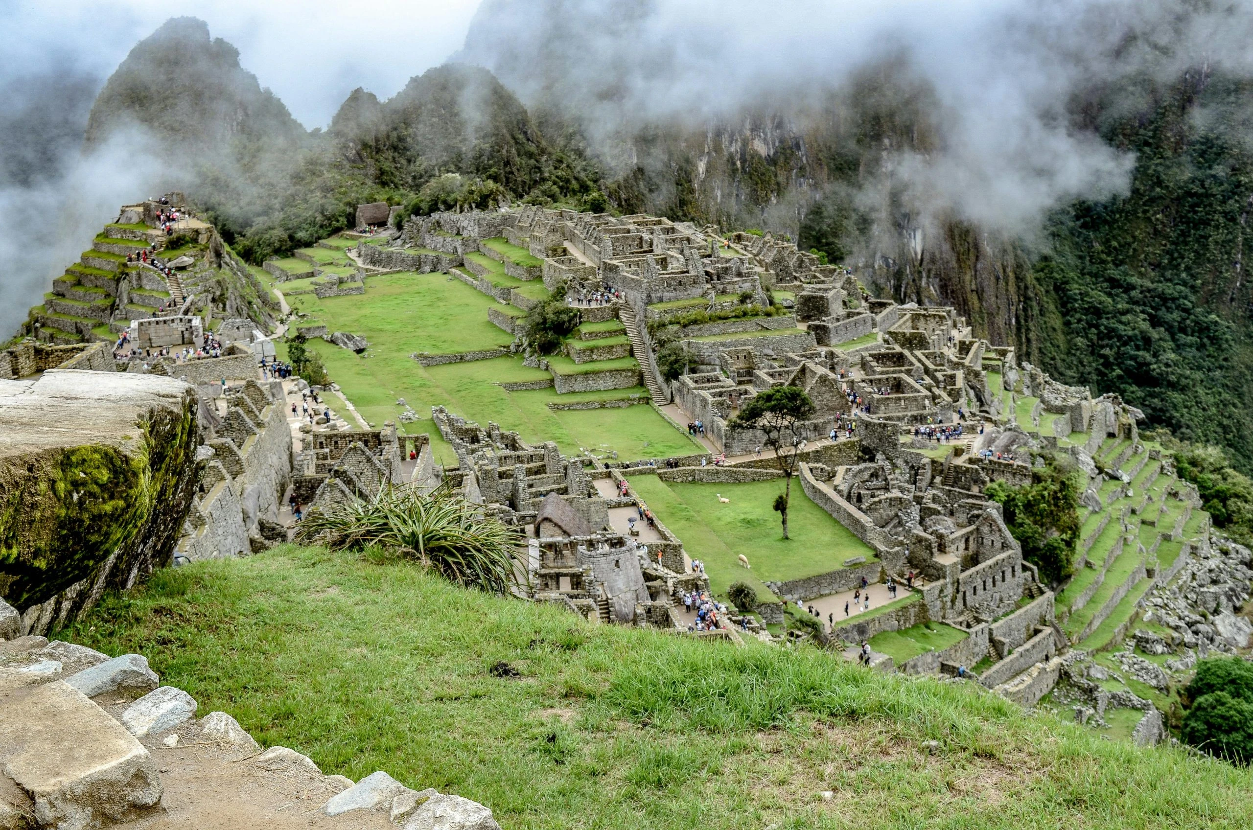 Rush Street Peru