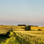 Iowa Betting September