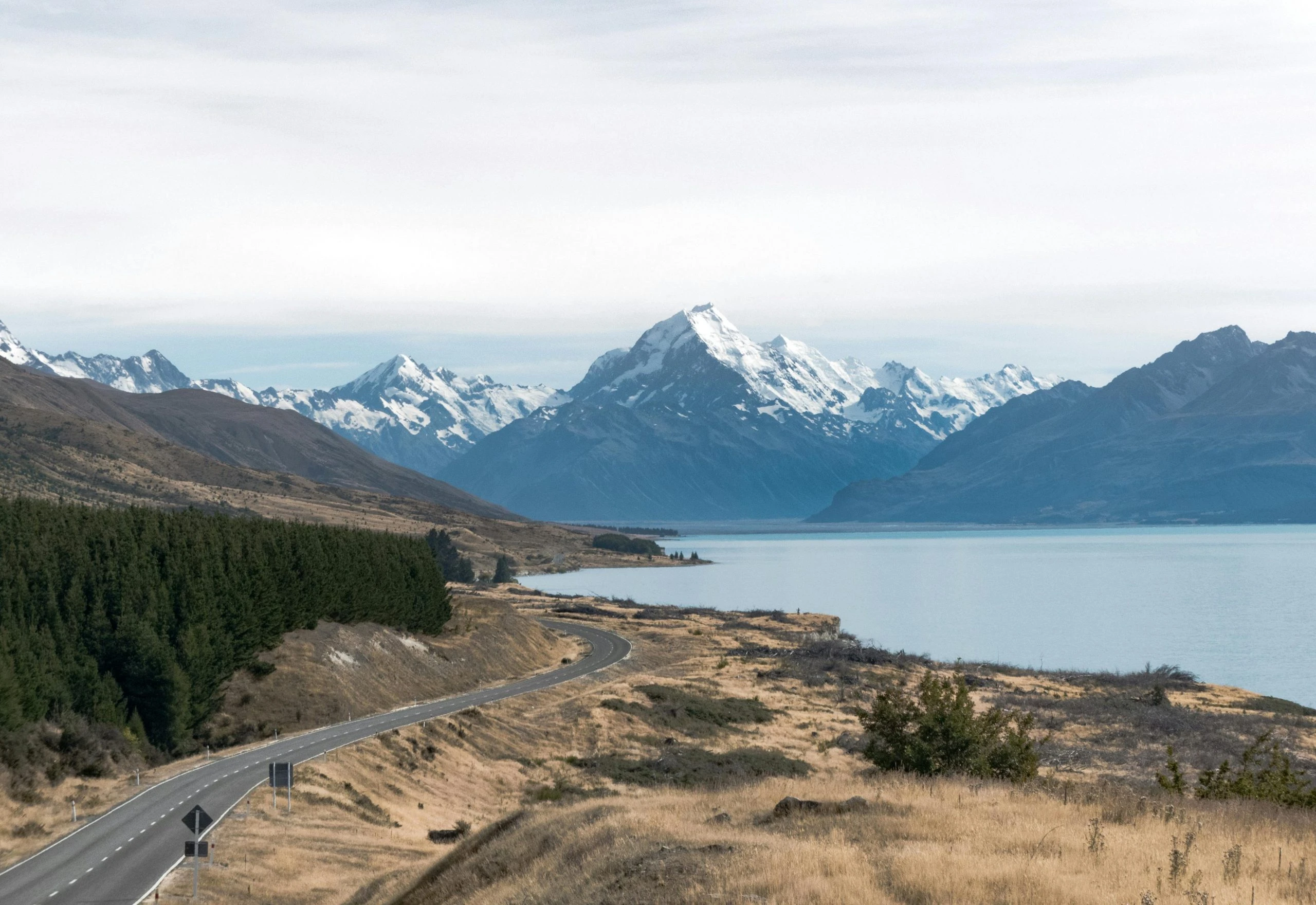 TAB new zealand