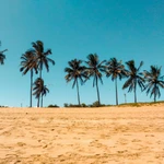 Brazil betting market