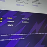 Photo of Wildz Group's corporate website