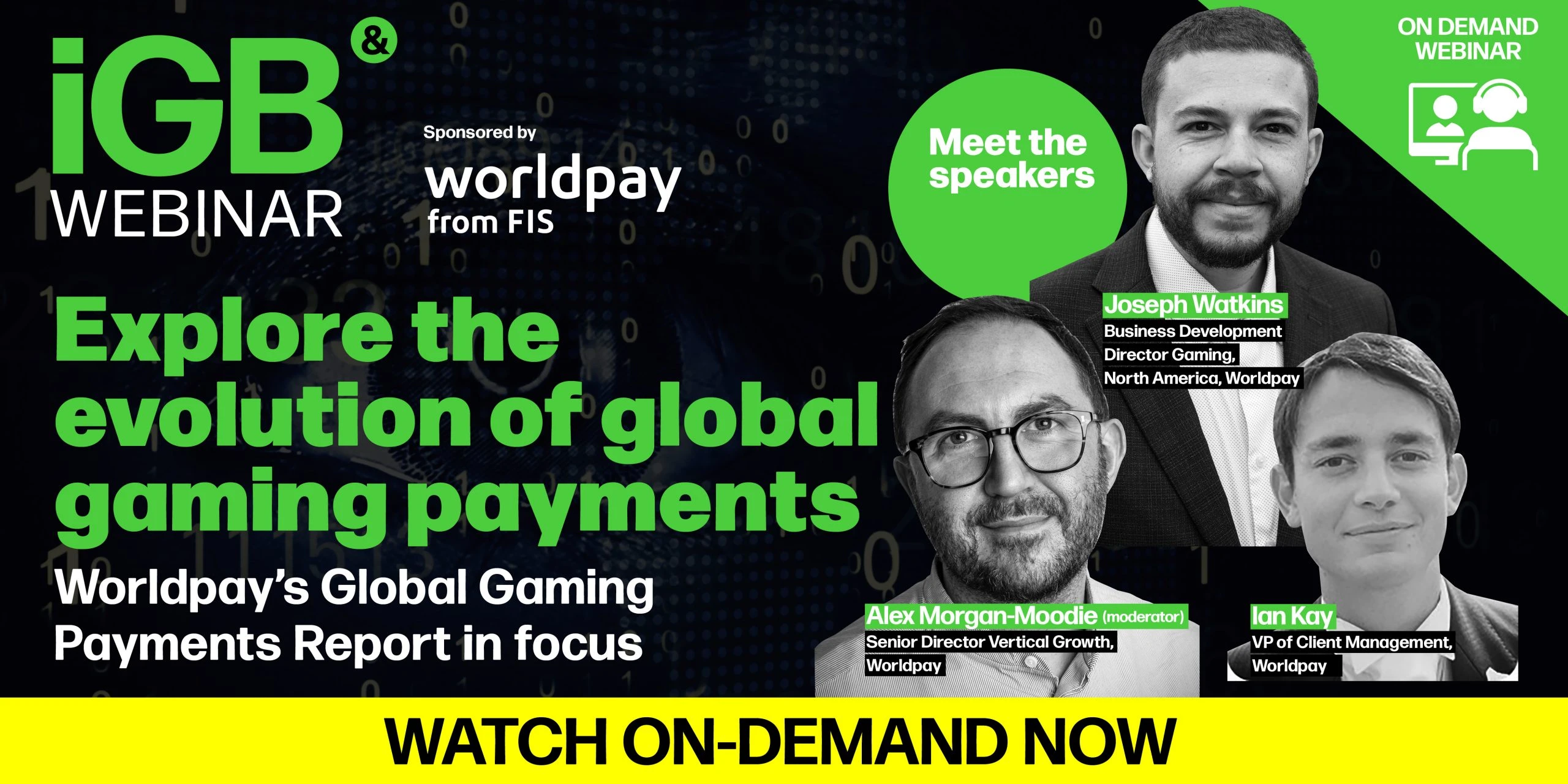 Worldpay Payments Report