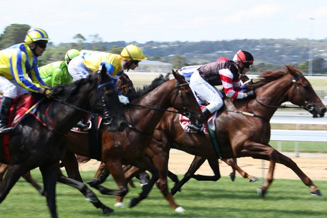 Ladbrokes horse racing betting odds