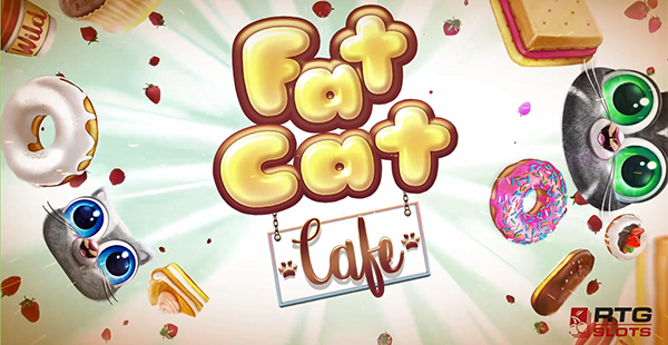 fat cat cafe review