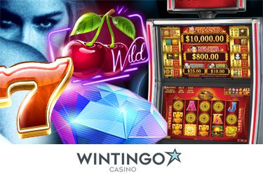 Wintingo Casino