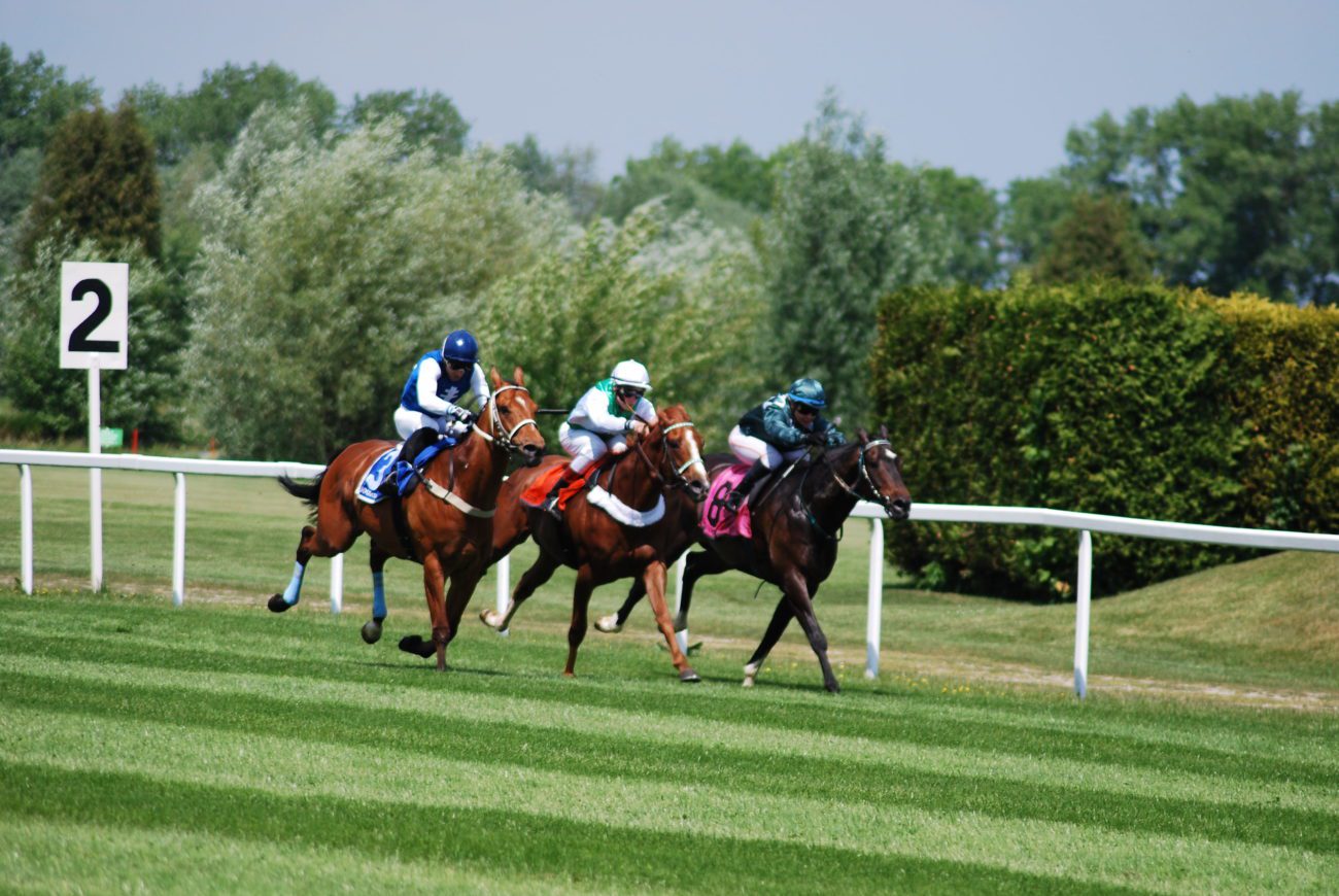 BHA to review resumption plans for British racing - iGB
