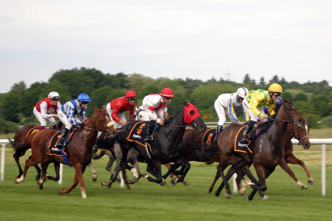 Horse Racing Ireland sees oncourse betting increase in 2019 iGaming