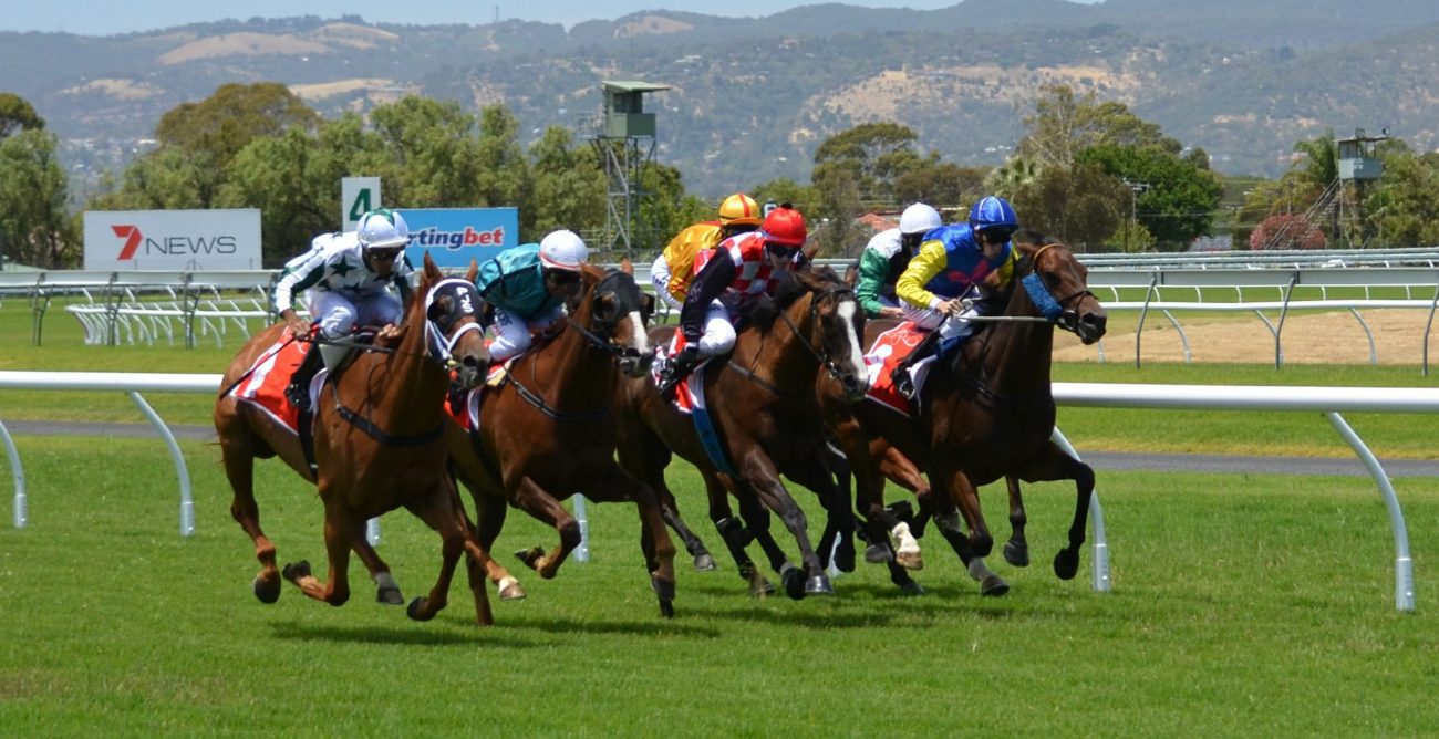 Top horse racing live data companies merge