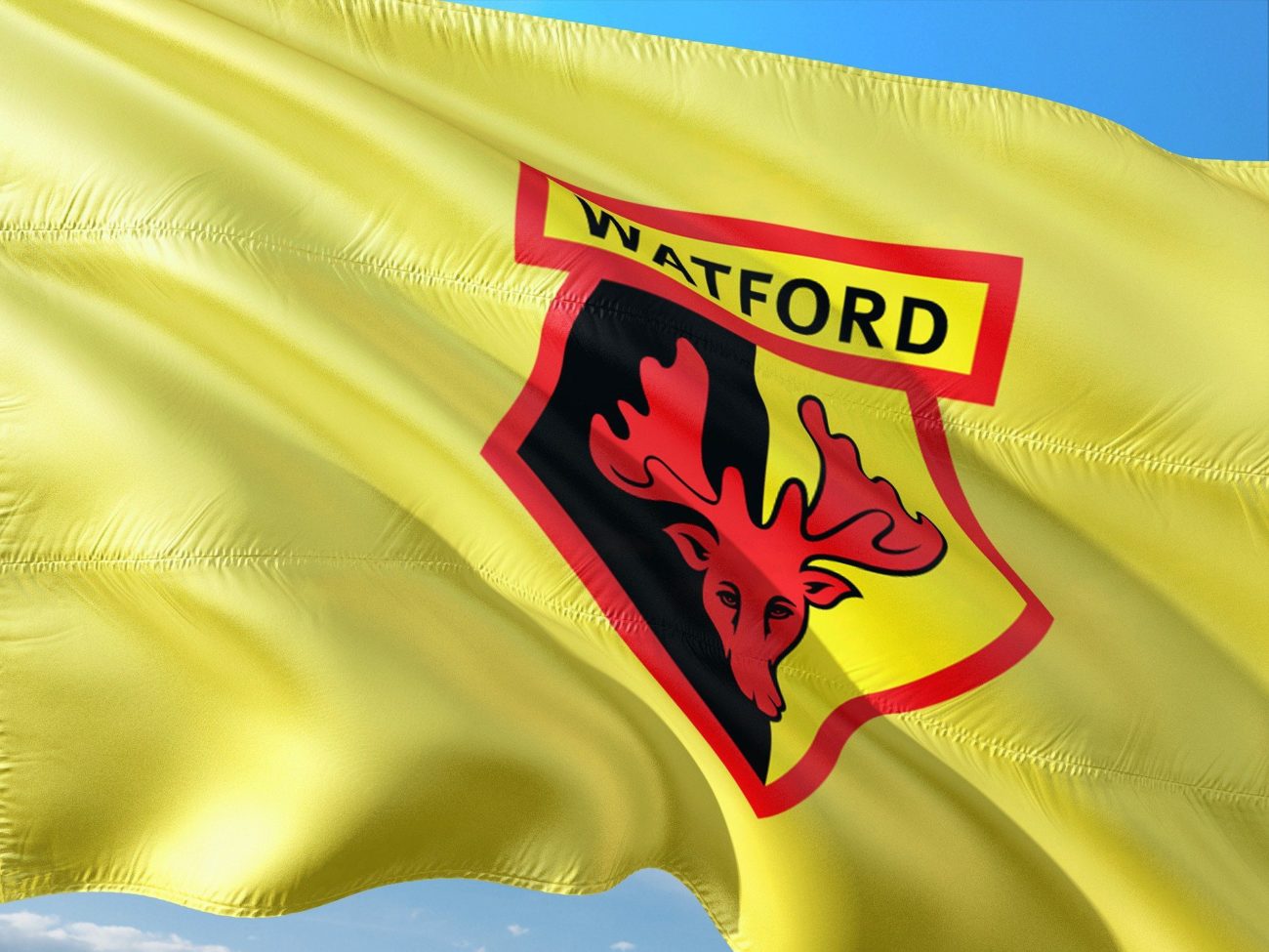 Stake Com Signs Multi Year Sponsorship Deal With Watford Fc Sponsorship Igaming Business