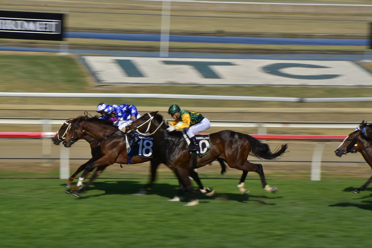 Thoroughbred Rules of Racing  Racing Queensland :: Racing Queensland