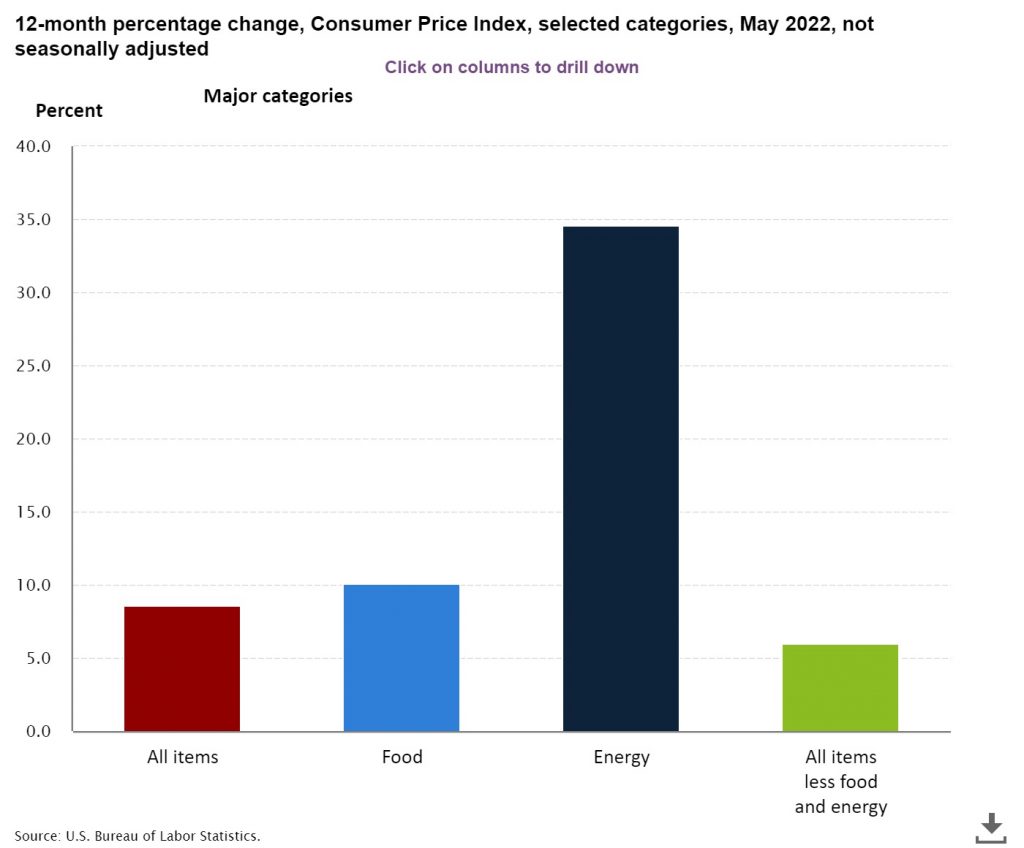12-month percentage change, Consumer Price Index, selected categories, May 2022, not seasonally adjusted
