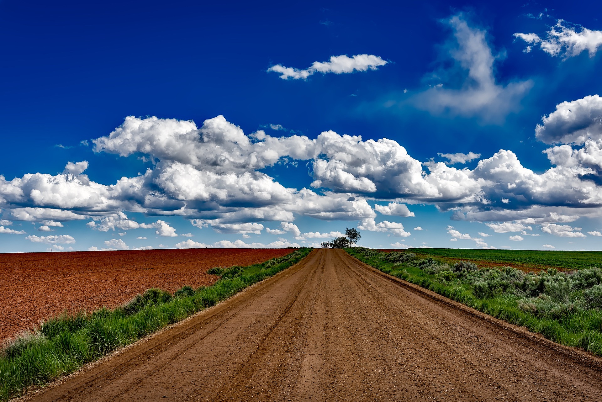 Colorado