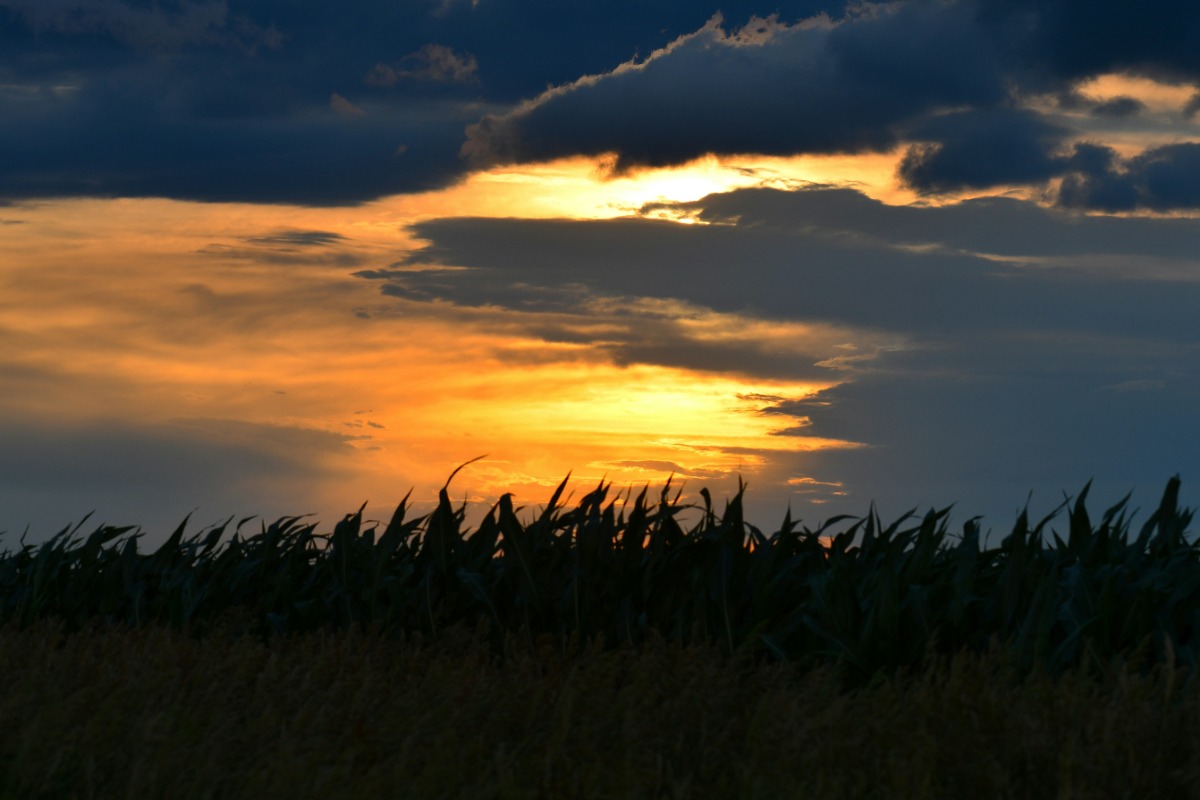 Last chance for US gambling expansion in ’24 dies in Nebraska