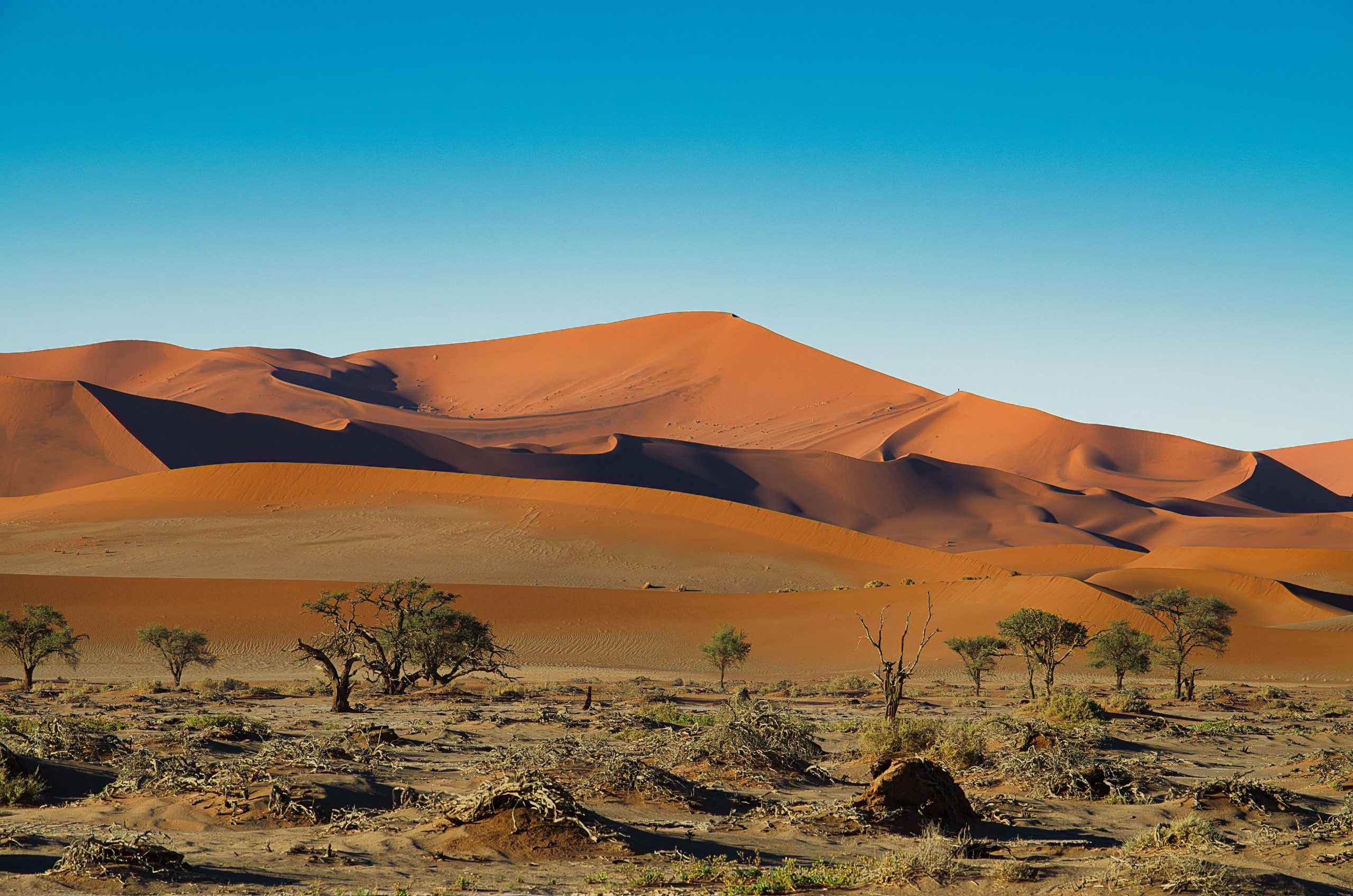 Sunbet launches in Namibia as Africa expansion continues